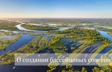 О создании бассейновых советов 